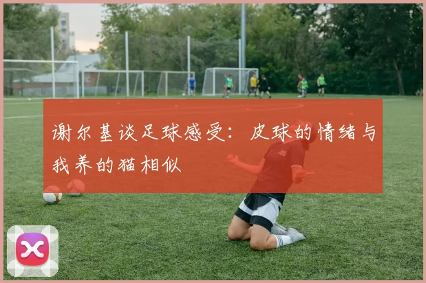 谢尔基谈足球感受：皮球的情绪与我养的猫相似