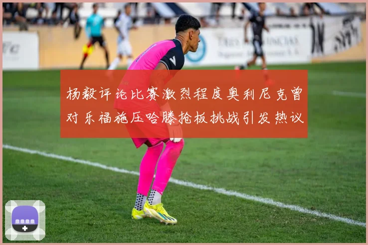 杨毅评论比赛激烈程度奥利尼克曾对乐福施压哈滕抢板挑战引发热议